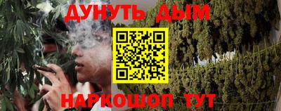 шишки Кингисепп