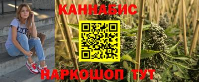 шишки Кингисепп